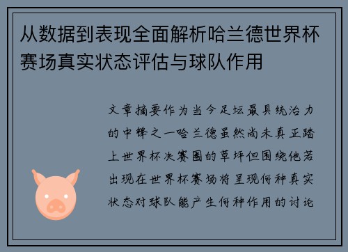 从数据到表现全面解析哈兰德世界杯赛场真实状态评估与球队作用